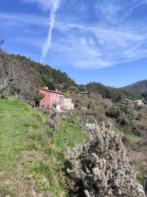 Quiet And Cozy With Wi-fi Casa Prearino Apartment