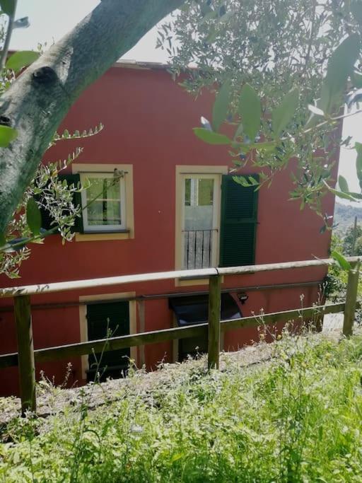 Apartment Quiet And Cozy With Wi-fi Casa Prearino