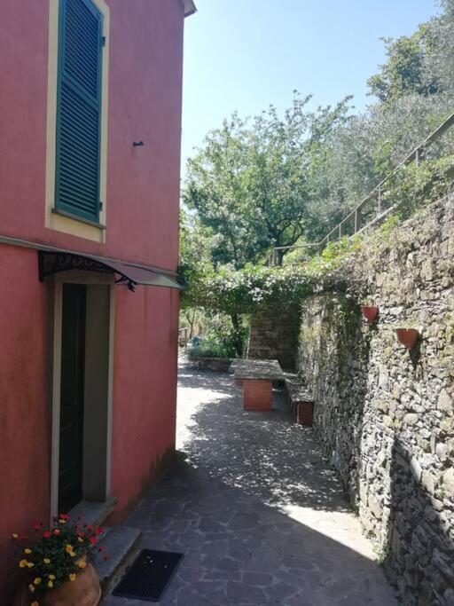 Apartment Quiet And Cozy With Wi-fi Casa Prearino