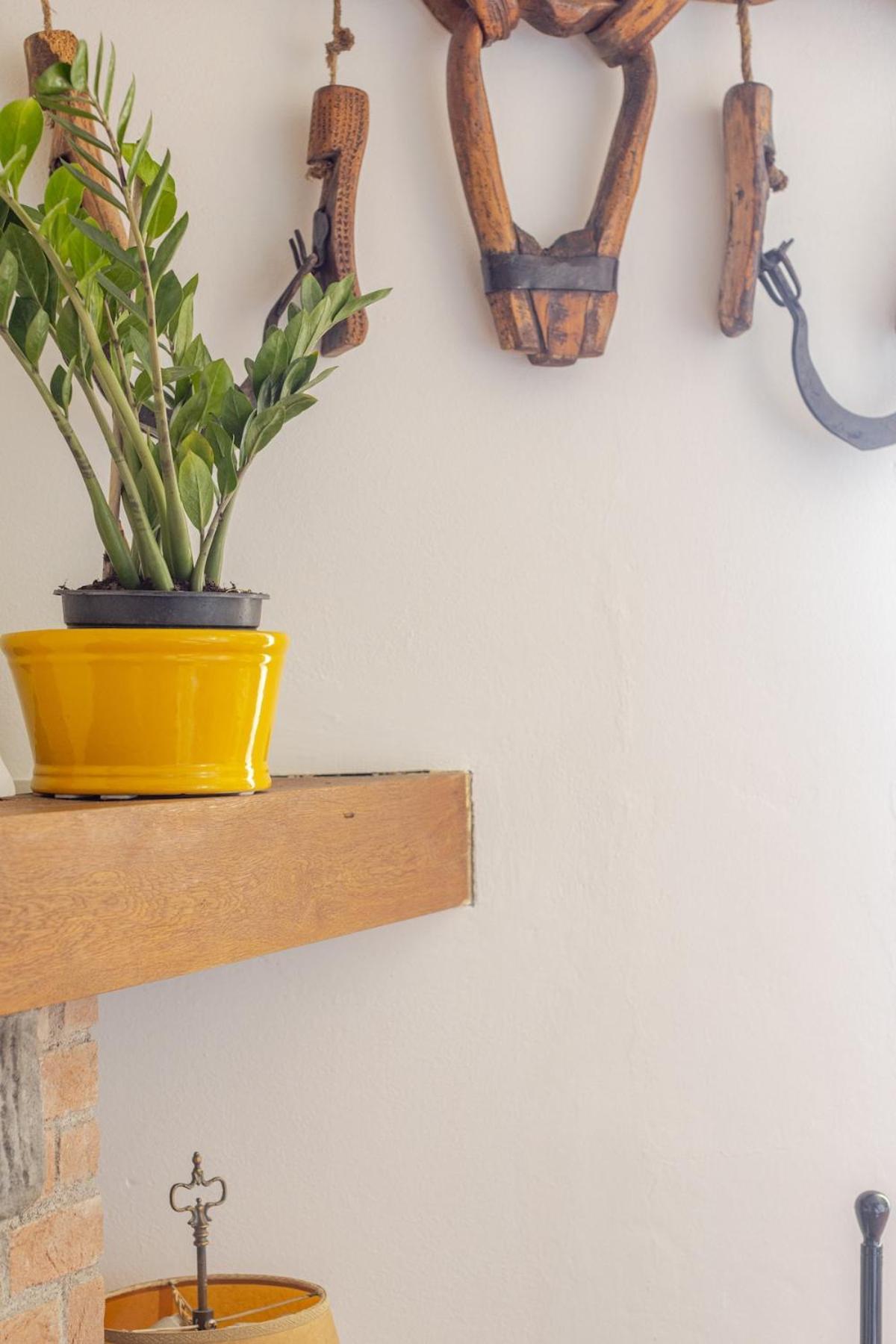 Quiet And Cozy With Wi-fi Casa Prearino Apartment Vernazza